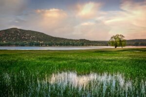 Discovering Ifrane, Morocco