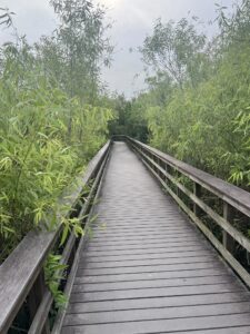 Florida HIking Trails