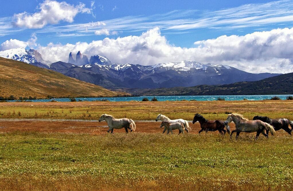 hiking in Patagonia