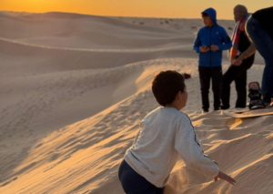 ifrane with kids cedar forest barbary macaque guide