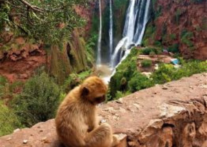 guide to climbing near Ifrane