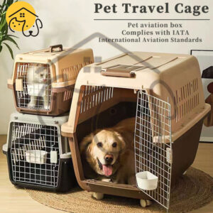 Flying with a Dog: What Airlines Actually Allow vs What the Websites Claim