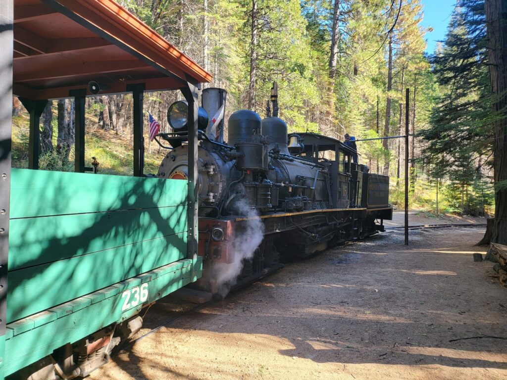 An old steam train standing on tracks in a pine forest at Fish Camp
