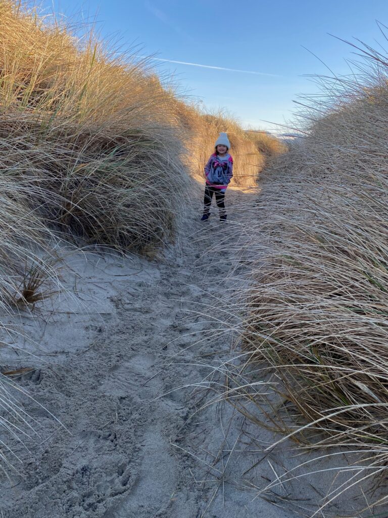 Person walking a dune grass path on the north Oregon coast near Rockaway Beach