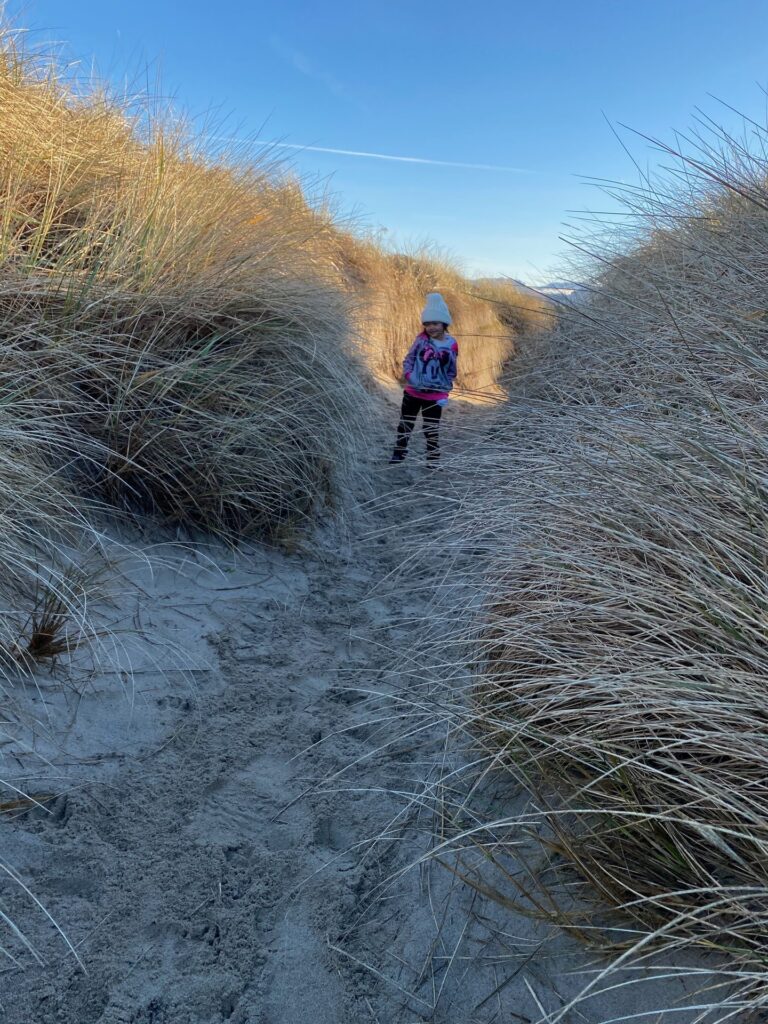 Child walking a sandy path through tall dune grass at Rockaway Beach, Oregon