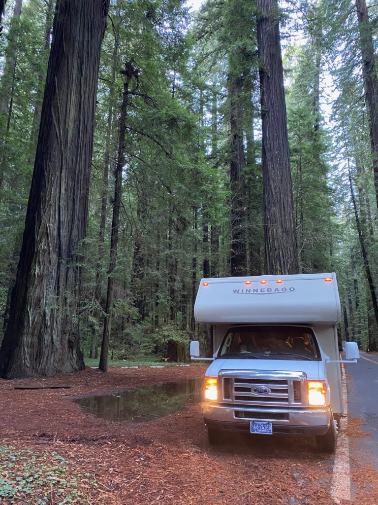 A Class C motorhome parked among towering redwood trees in Humboldt County, California