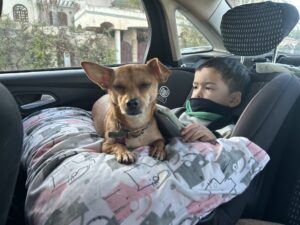 Moka riding in the car next to one of our kids in Fes, Morocco